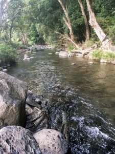 Director: County  working on Honokohau  water supply issues